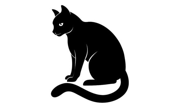 Black Cat Silhouette Sitting Against