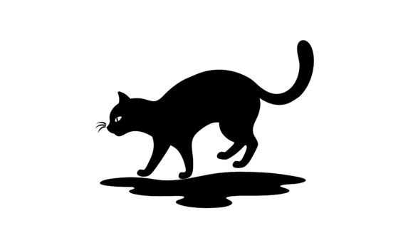 Black Cat Silhouette Walking Towards the