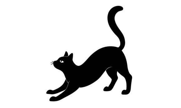 Black Cat Stretching Silhouette on White