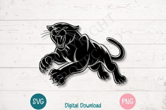 Fierce Roaring Black Panther Attack